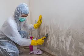 Best Mold Remediation for Healthcare Facilities  in Dakota Ridge, CO